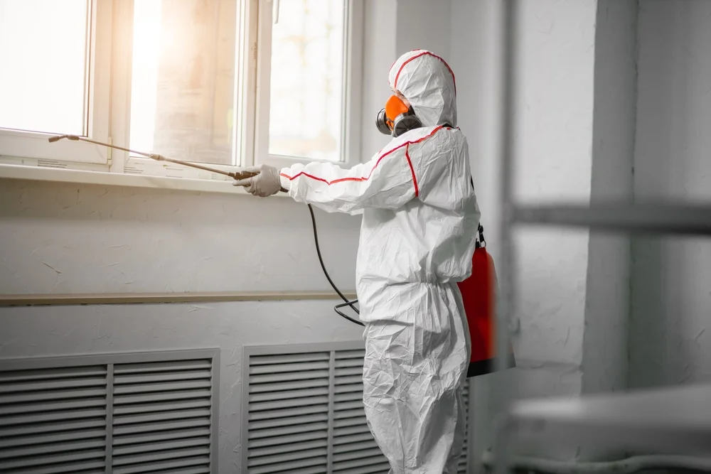Professional mold remediation services in Ionia, MI